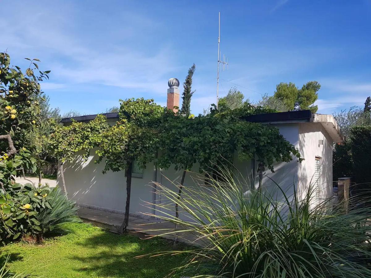 Countryhouse Gli Ulivi Modugno Exterior foto