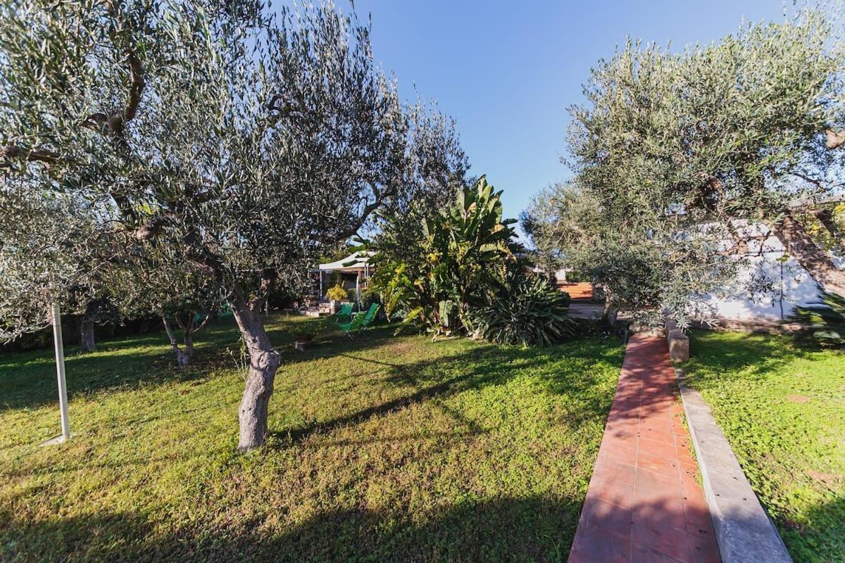 Countryhouse Gli Ulivi Modugno Exterior foto